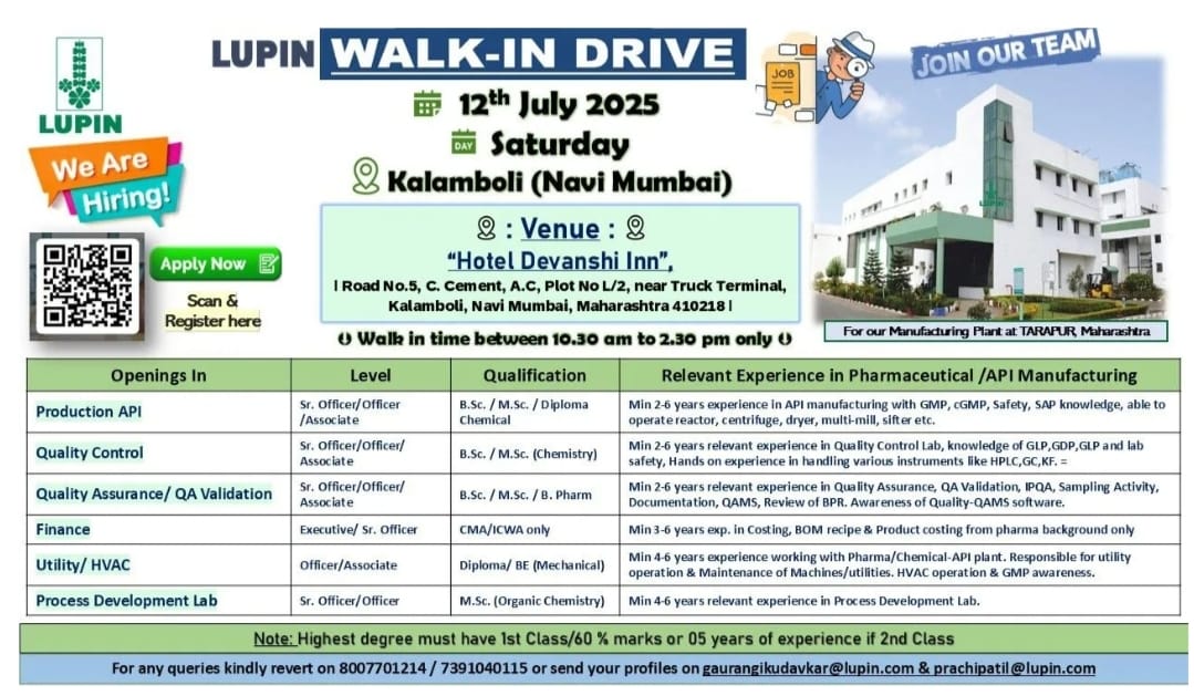 Lupin Walk-in Drive July 2025