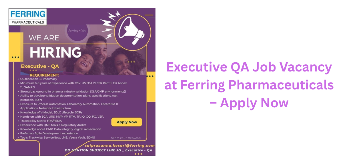 Executive QA Job Vacancy